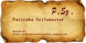 Palicska Szilveszter névjegykártya